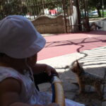 DSC00354