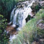 GSabana11