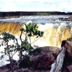 Gsabana01