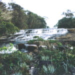 Gsabana04
