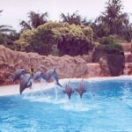 pto03