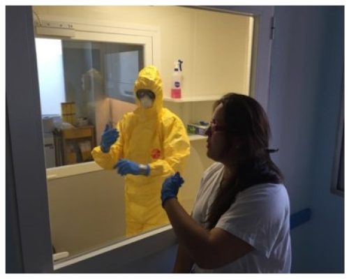 Ebola web